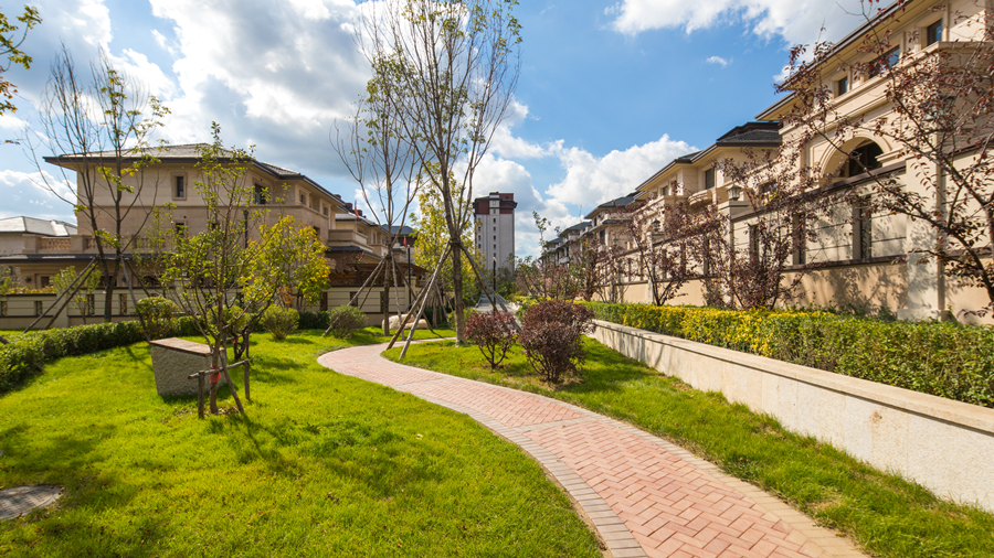 南山園區(qū)照片 (8)_副本.jpg 南山園區(qū)照片 (8)_副本.jpg