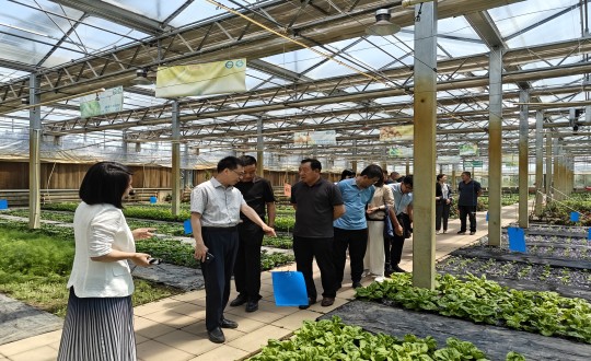 2024年6月27日，中國綠色食品發(fā)展中心相關領導蒞臨農(nóng)業(yè)總公司考察調(diào)研_副本.jpg